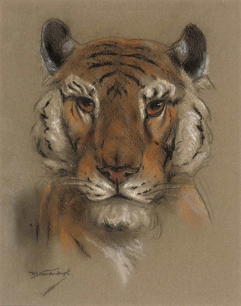 Raymond John Vandenbergh - A head of a tiger (illustrated); and A head of a lion