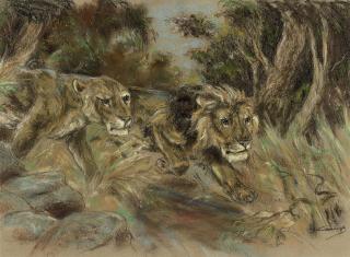 Raymond John Vandenbergh - Lions on the prowl