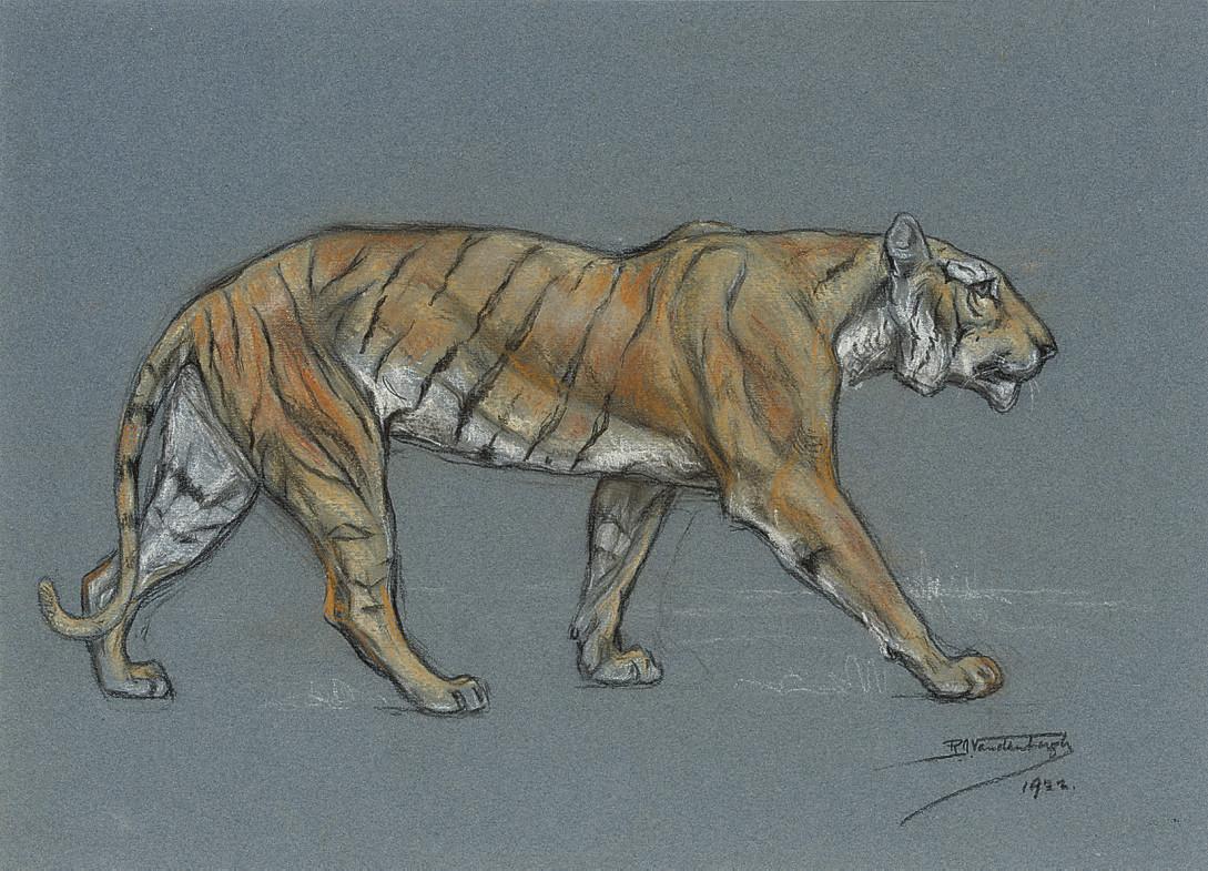 Raymond John Vandenbergh - Study of a tiger walking