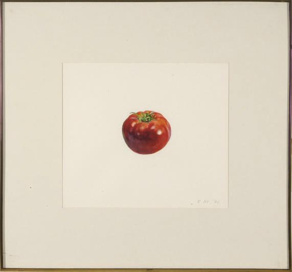 Raymond Mason - Tomato