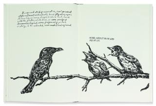 Raymond Pettibon - Plots On Loan