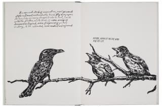 Raymond Pettibon - Plots on Loan