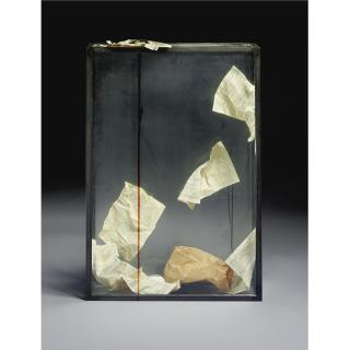 Rebecca Horn - Love Affair Between A Goose Egg And A Brown Paper Bag