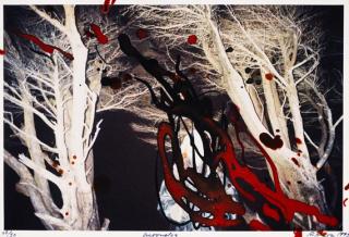 Rebecca Horn - Moondog