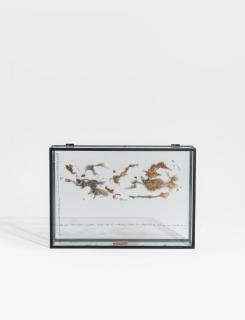 Rebecca Horn - Ohne Titel.