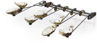 Rebecca Horn - Oyster Piano