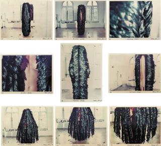 Rebecca Horn - Paradise Widow