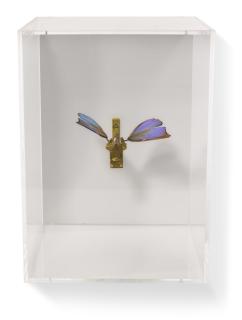 Rebecca Horn - Schmetterling (Butterfly)