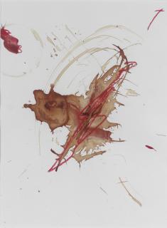 Rebecca Horn - Senza Titolo