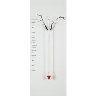 Rebecca Horn - Thermometre D\'Amour