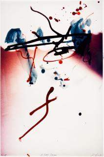 Rebecca Horn -  »X. RAY. RHINO«.