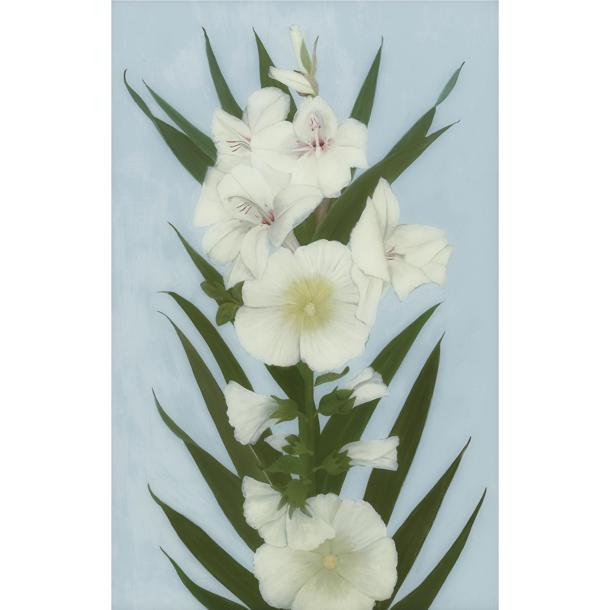 Rebecca Salsbury James - White Hollyhocks And Polar Ice Gladiolas