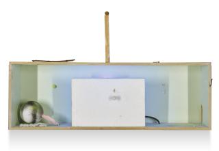 Rebecca Warren - The Living