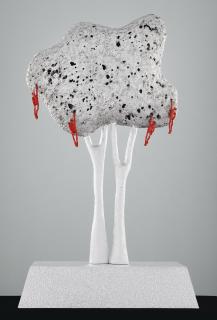 Redy Rahadian - Human Tree