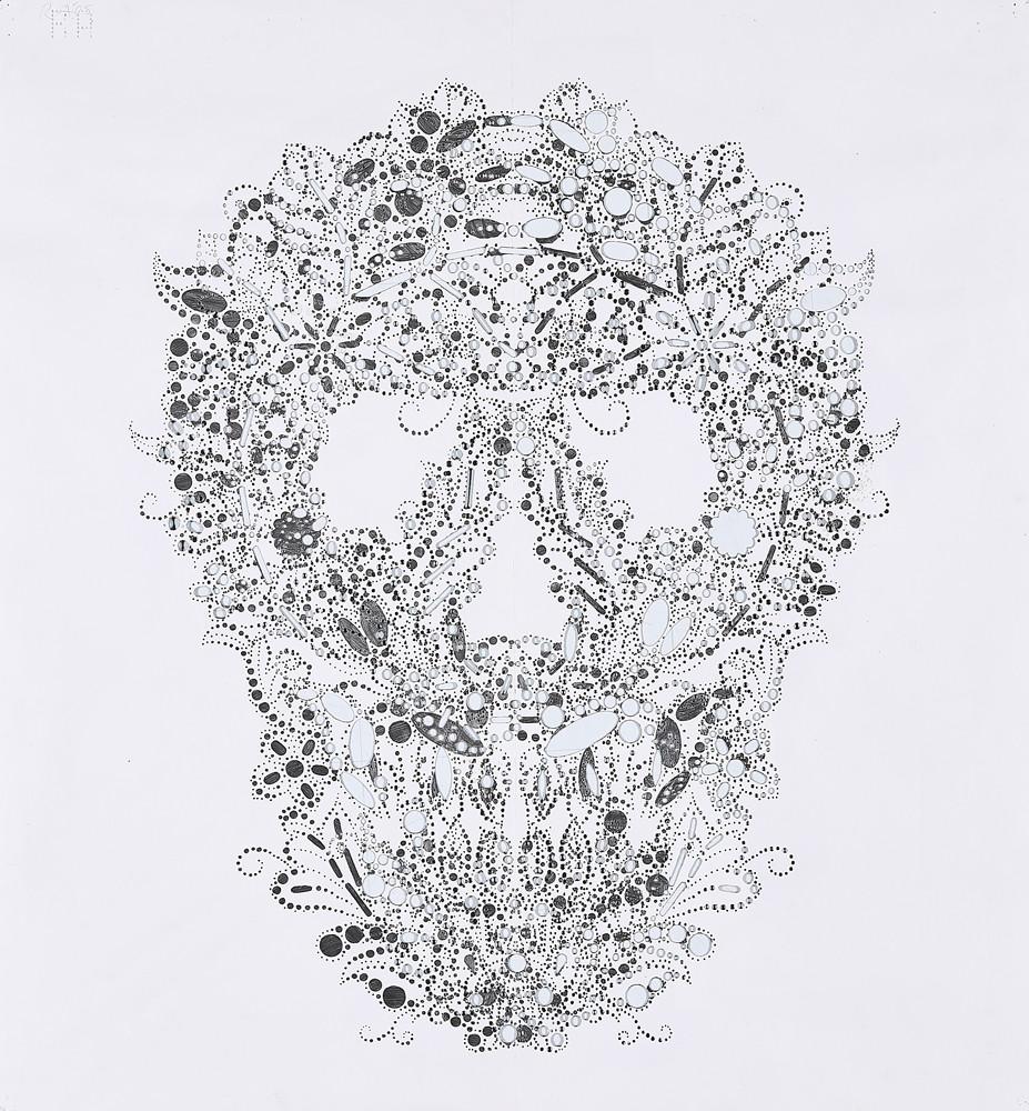 Reed Anderson - Ohne Titel (Totenkopf).