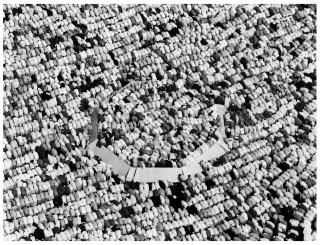 Reem Al Faisal - Untitled (from Hajj, Pilgrimage to Makkah)