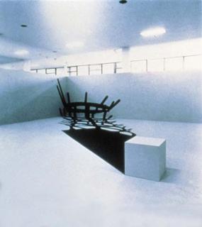 Regina Silveira - In absentia, M.D.