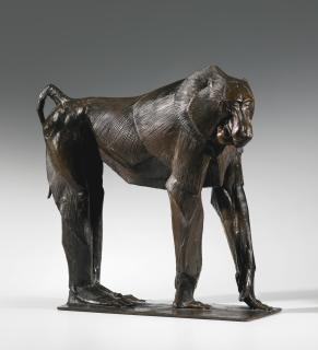 Rembrandt Bugatti - Babouin Sacré Hamadryas