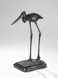 Rembrandt Bugatti - Jabiru Femelle