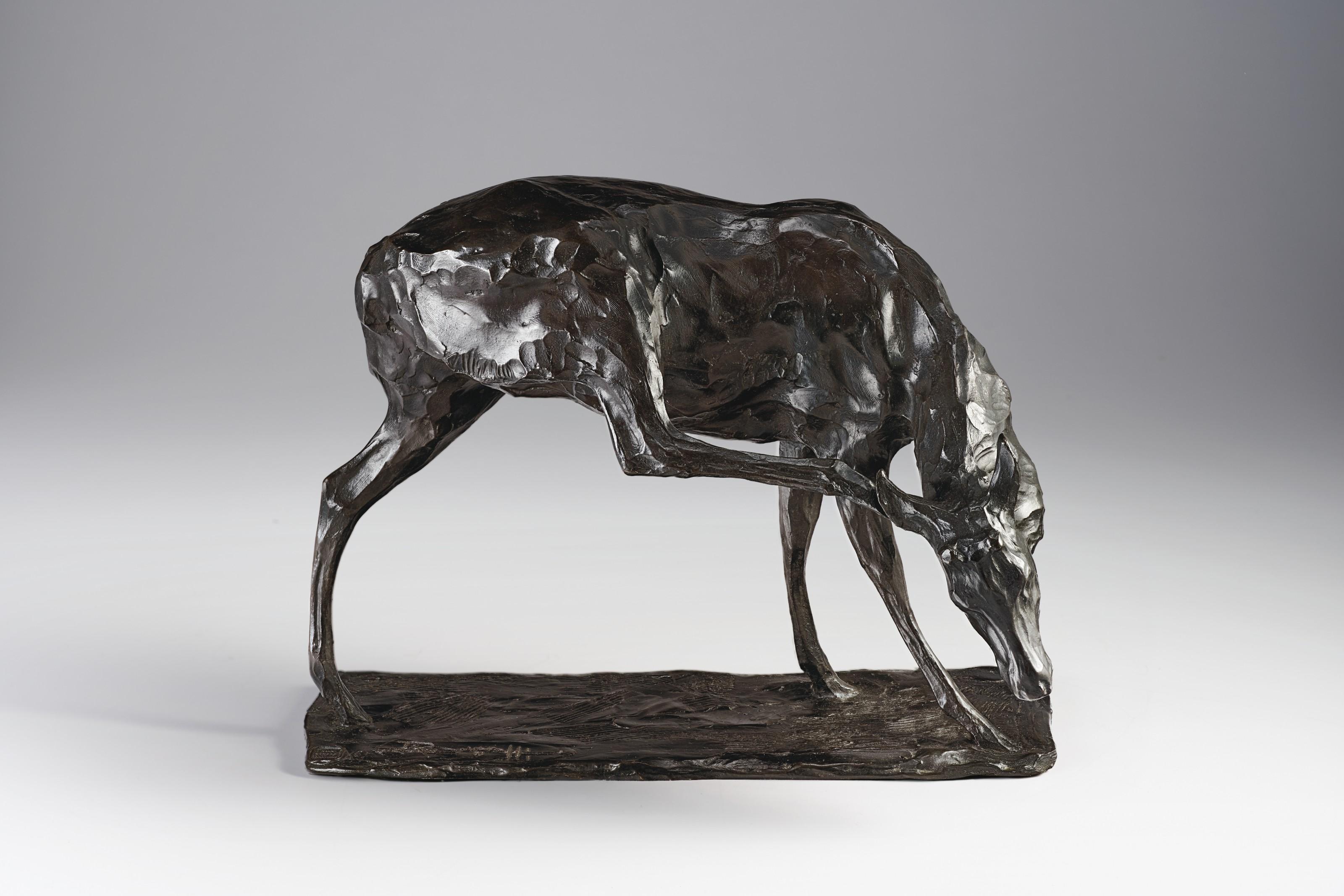 Rembrandt Bugatti - Jeune cerf se grattant le cou