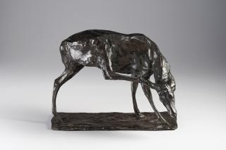 Rembrandt Bugatti - Jeune cerf se grattant le cou