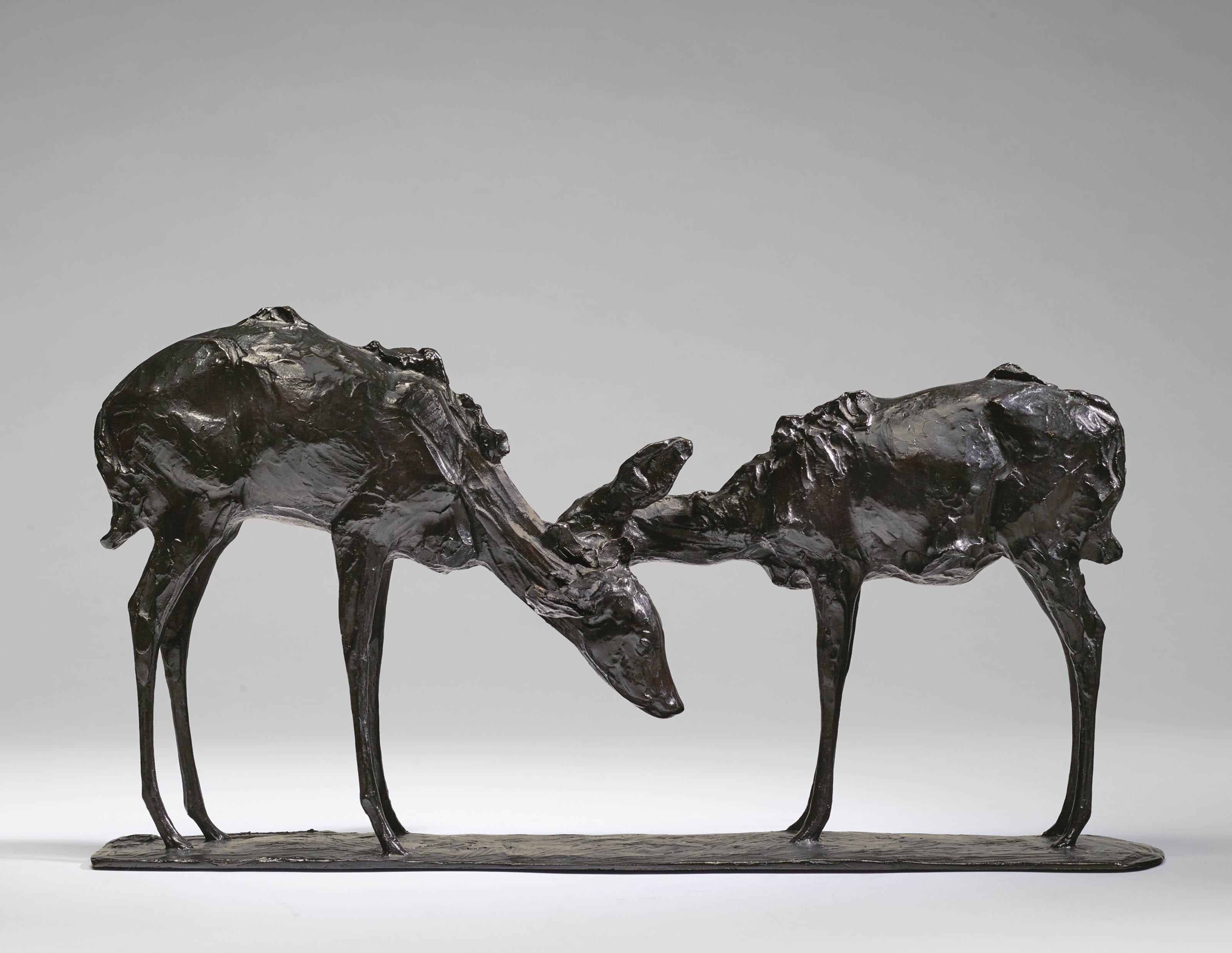 Rembrandt Bugatti - Petites antilopes goudou \