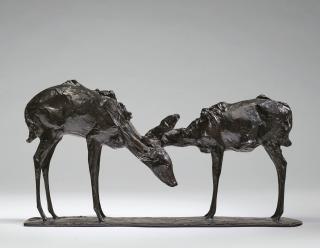 Rembrandt Bugatti - Petites antilopes goudou \