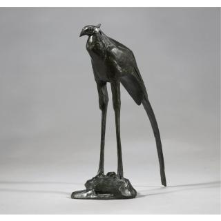 Rembrandt Bugatti - Rapace Serpentaire, Femelle