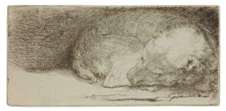 Rembrandt Harmensz. van Rijn - A sleeping Puppy (B., Holl. 158; H. 174)