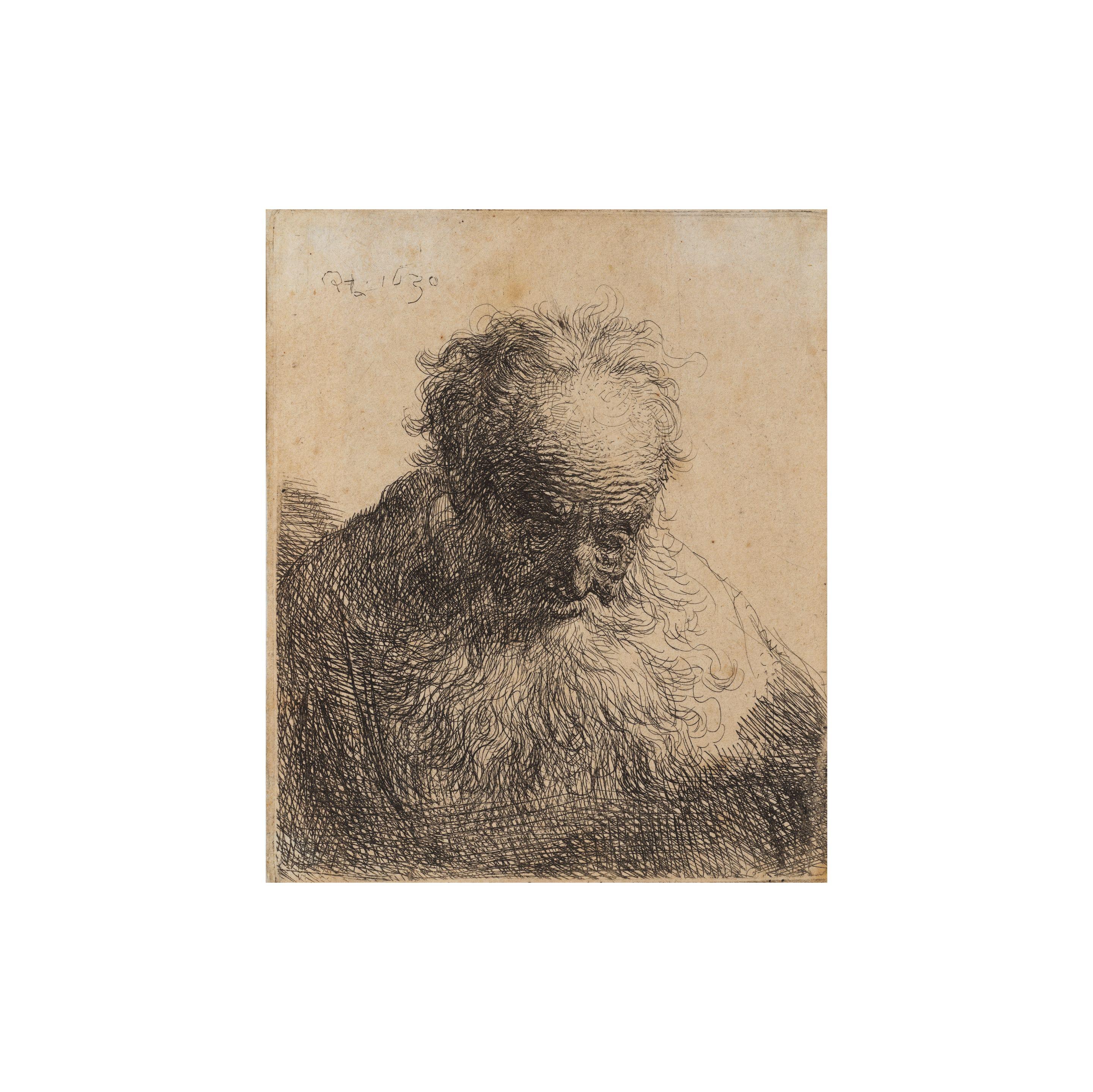 Rembrandt Harmensz van Rijn - Buste d\'un vieil homme à la longue barbe: la tête inclinée vers l\'avant, l\'épaule gauche non ombragée