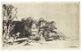 Rembrandt Harmensz. Van Rijn - Clump Of Trees With A Vista (B., Holl. 222; New Holl. 272; H. 263)