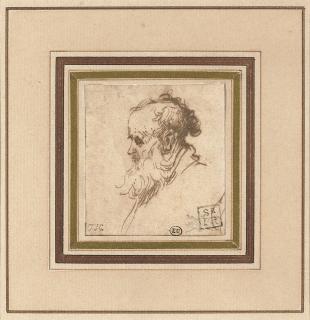 Rembrandt Harmensz. Van Rijn - Head of a bearded man in profile to the left