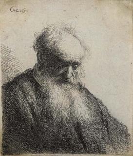 Rembrandt Harmensz. van Rijn - Old Man with Flowing Beard, Bust (B., Holl. 309; H. 28)