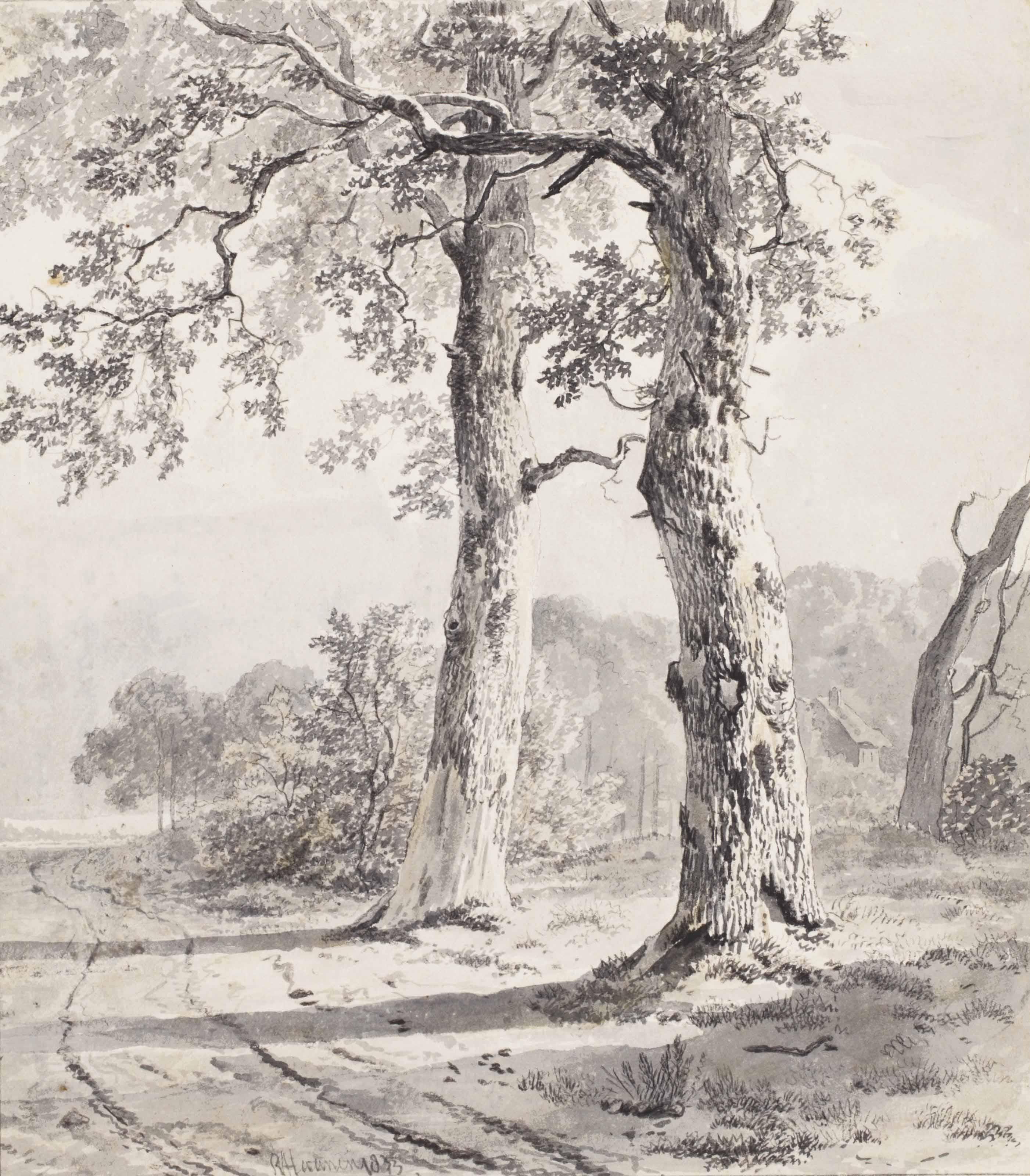 Remigius Adrianus Haanen - A Wooded Track