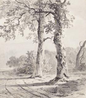 Remigius Adrianus Haanen - A Wooded Track