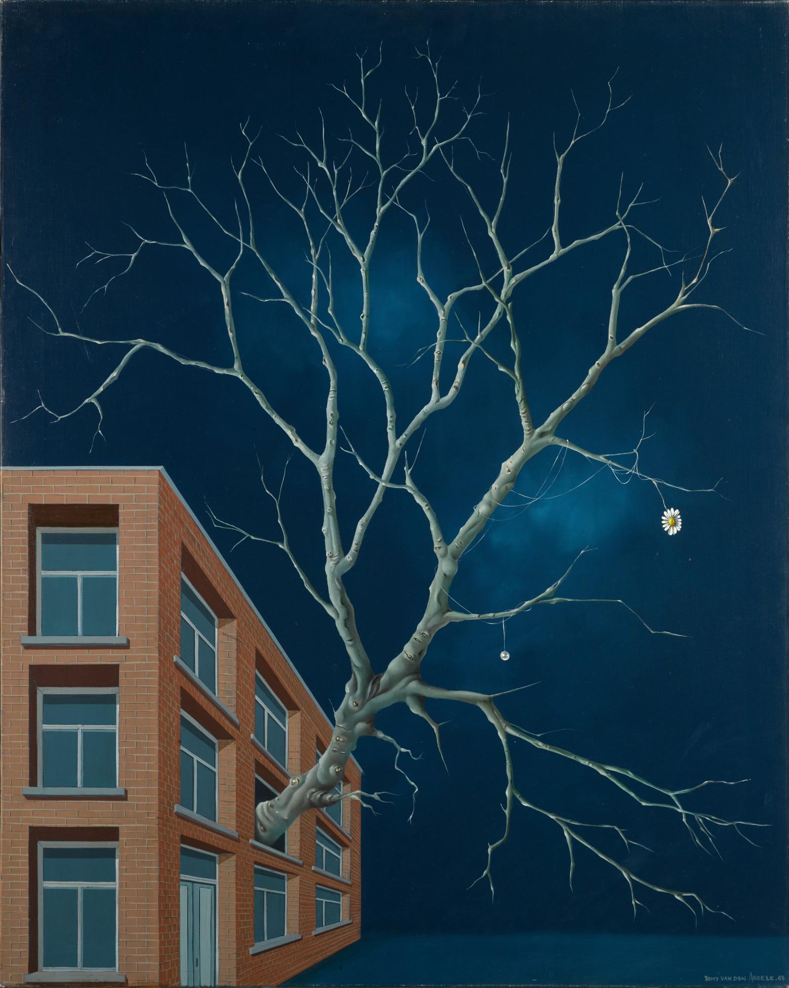 Rémy Van Den Abeele - Evasion