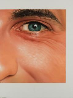 Remy van den Abeele - L\'éclair