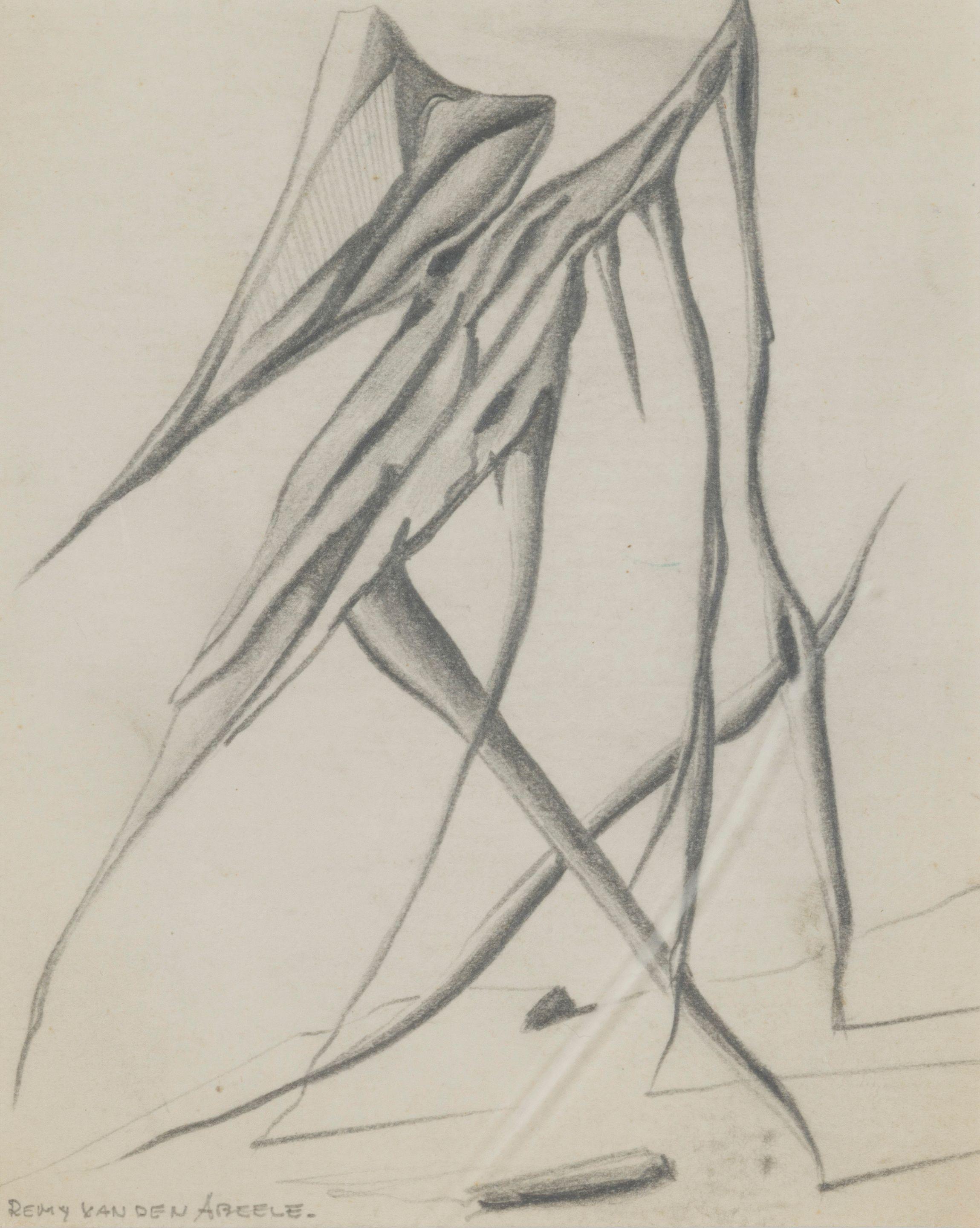 Remy Van Den Abeele - Sans titre