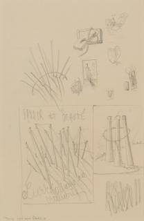 Remy Van Den Abeele - Savoir et Beauté