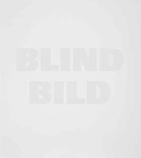 Remy Zaugg - Blind Bild, 1992