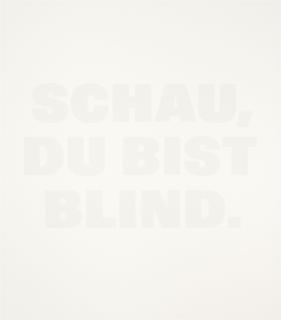 Rémy Zaugg - SCHAU, DU BIST BLIND.
