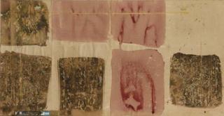 Renata Boero - Cromogramma