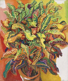 Renato Guttuso - La pianta