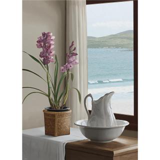 Renato Meziat - Pink Orchid And Landscape