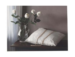 Renato Meziat - Roses and Necklace with Cushion