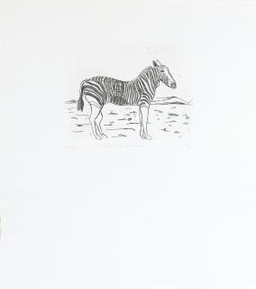 René Daniëls - Elba - St Helena