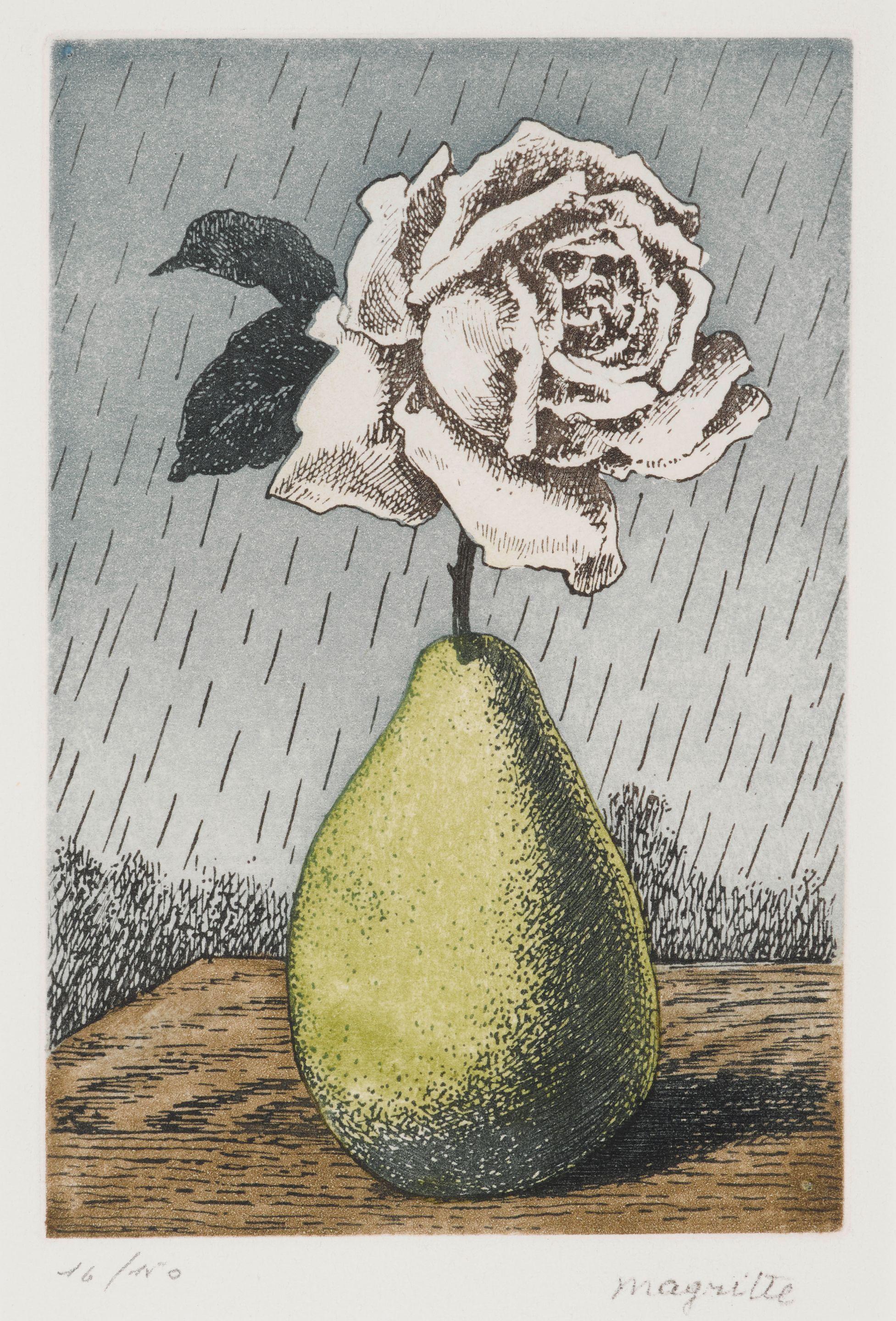 René Magritte - Poire et Rose, from Moyens d\'Existence