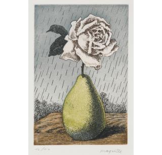 René Magritte - Poire et Rose, from Moyens d\'Existence
