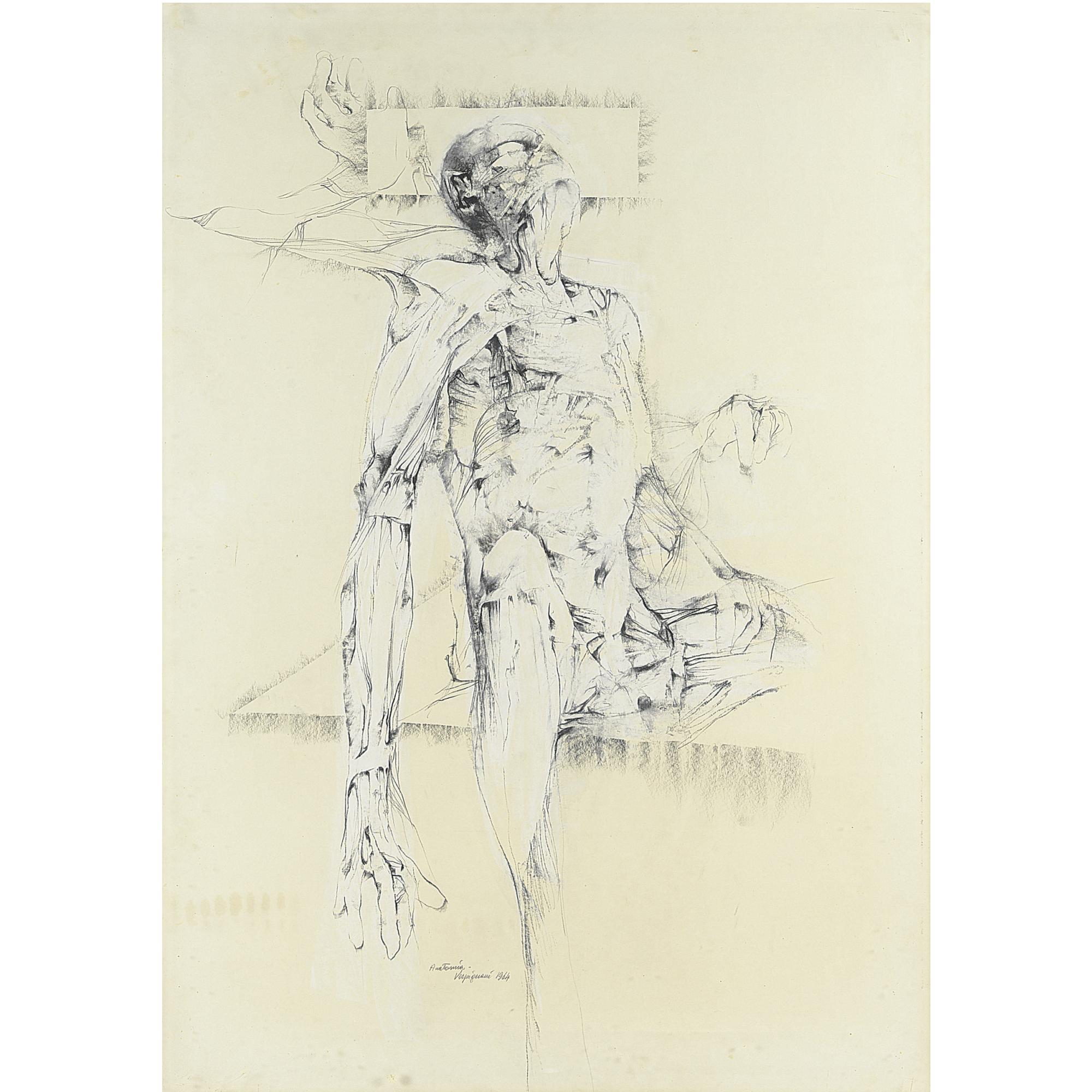 Renzo Vespignani - Anatomia