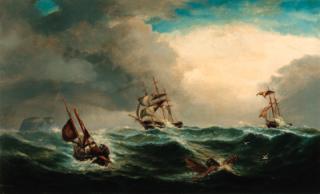 Reuben Chappell Of Goole - Gale off Bass Rock, Northumberland